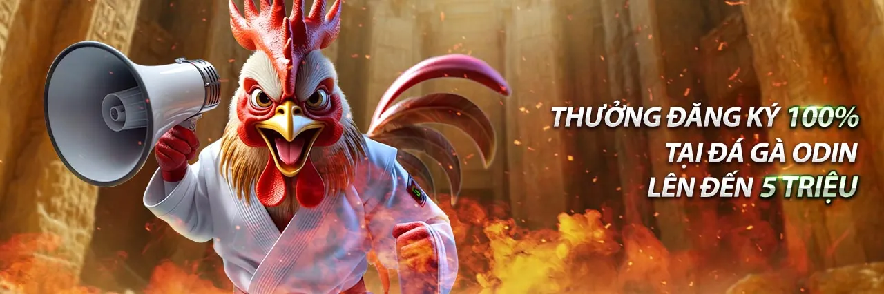 Tính năng nổi bật của kèo bóng đá 88 cho Euro 2024